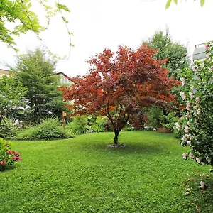 https://nigler-innsbruck-apartment.ischgl-hotels.net